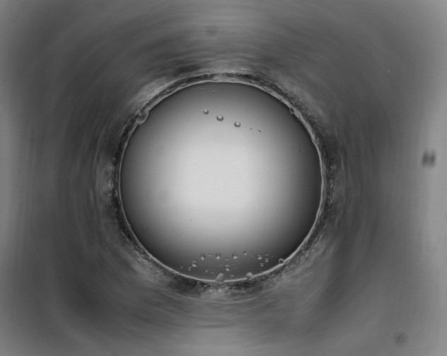 X0000101661169200807101247