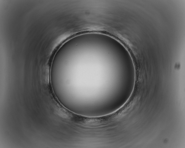 X0000101661171200807101247