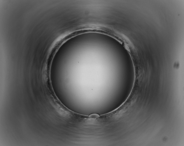 X0000101661172200807101247