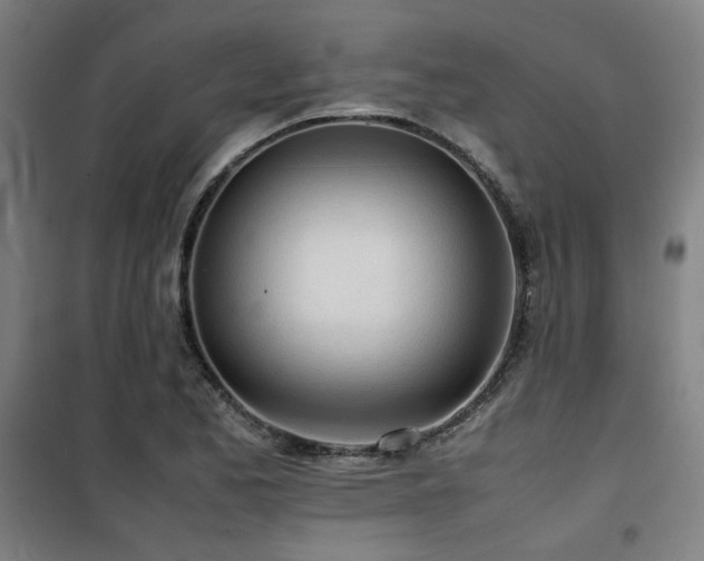 X0000101661173200807101247