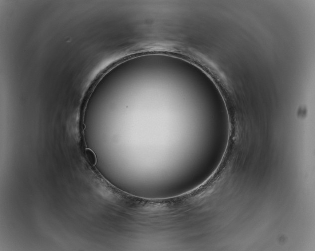 X0000101661174200807101247