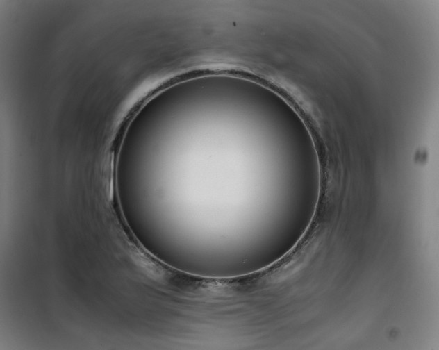 X0000101661175200807101247