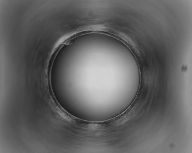 X0000101661176200807101247