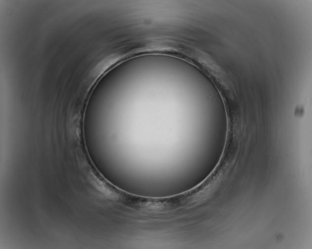 X0000101661177200807101247