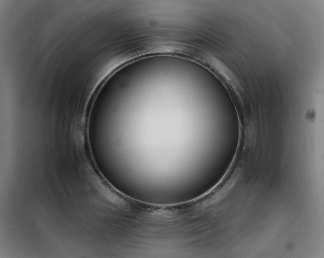 X0000101661178200807101247