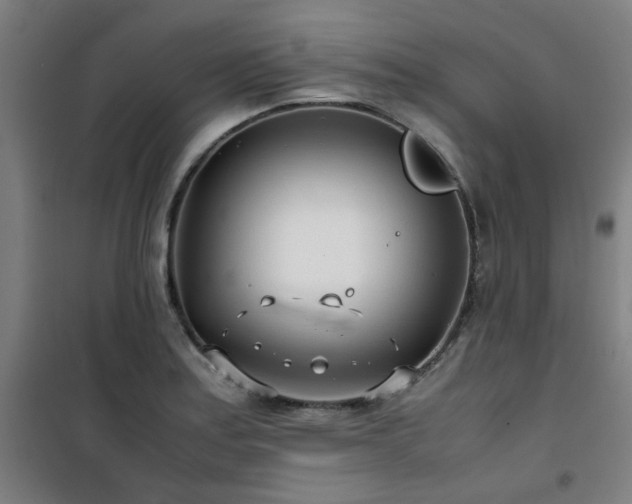 X0000101661179200807101247