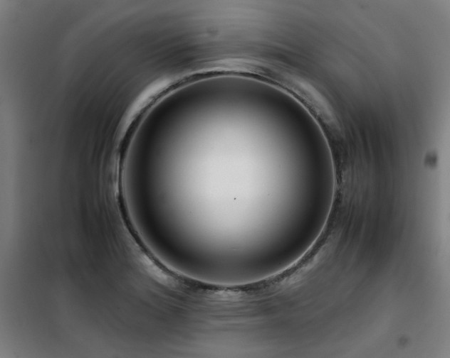 X0000101661180200807101247