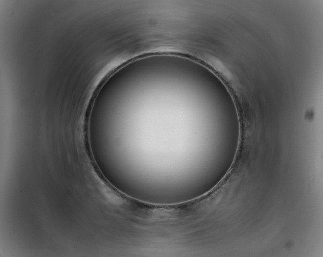 X0000101661181200807101247