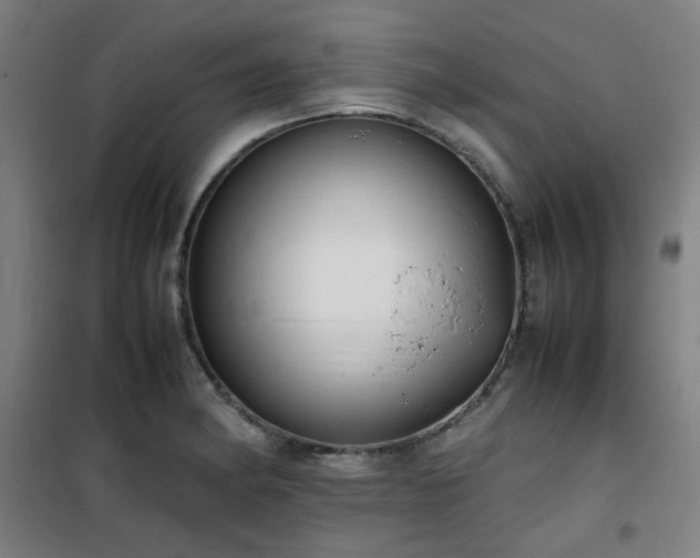 X0000101661182200807101247
