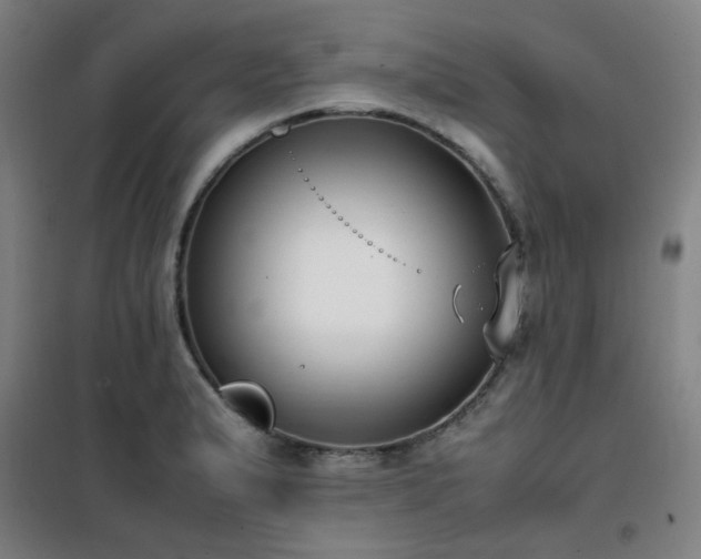 X0000101661183200807101247