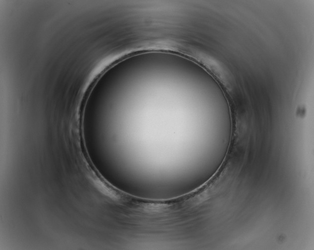 X0000101661184200807101247
