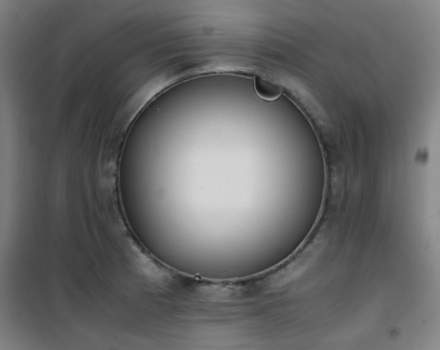 X0000101661185200807101247