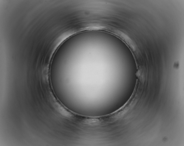 X0000101661186200807101247