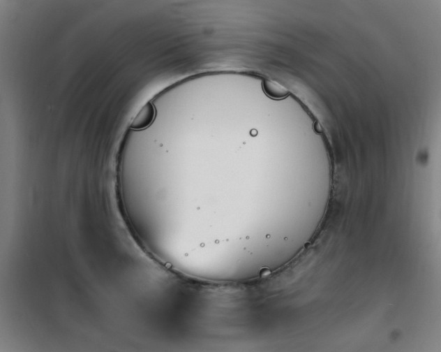 X0000101661187200807101247