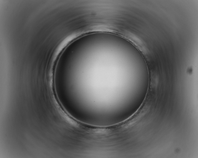 X0000101661188200807101247
