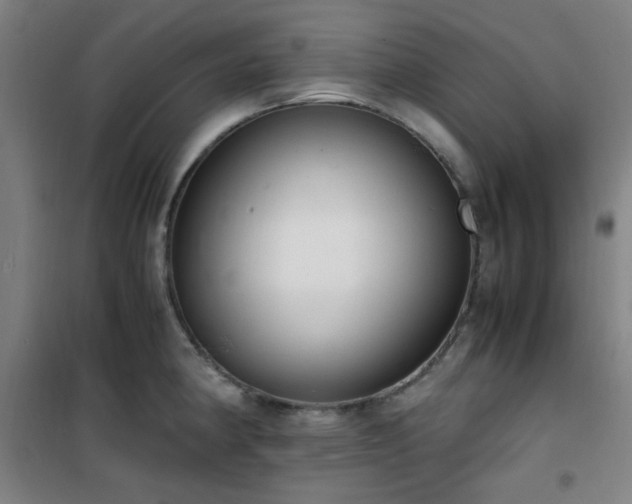 X0000101661190200807101247