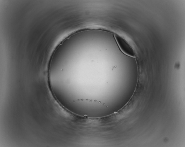 X0000101661191200807101247