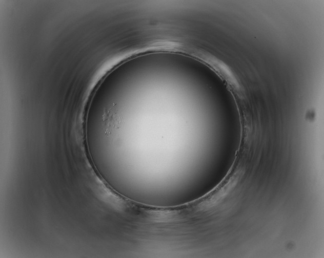 X0000101661192200807101247