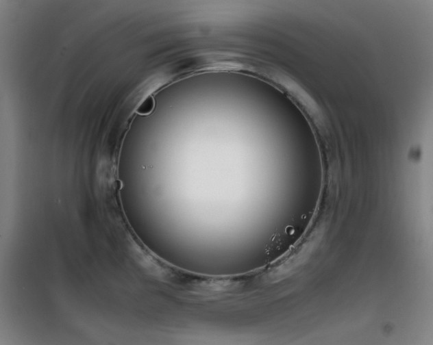 X0000101661193200807101247