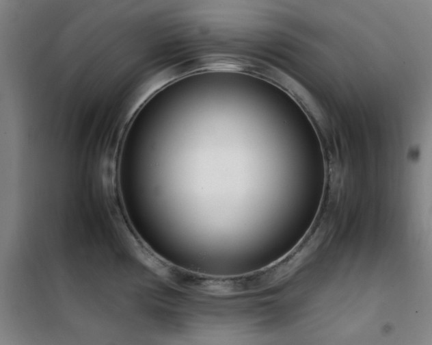 X0000101661194200807101247
