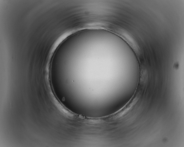 X0000101661196200807101247