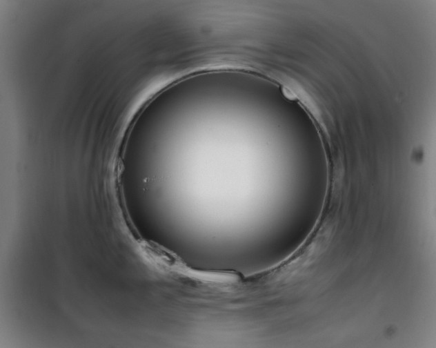 X0000101661197200807101247