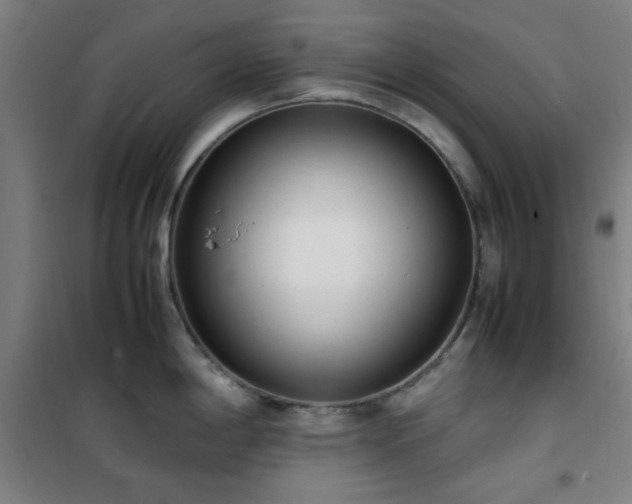 X0000101661198200807101247