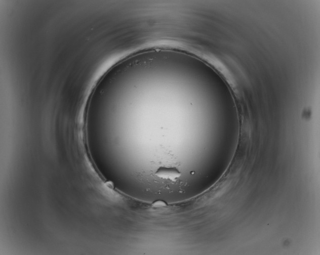 X0000101661199200807101247