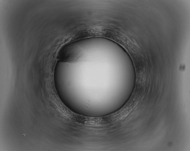 X0000101661201200807101246