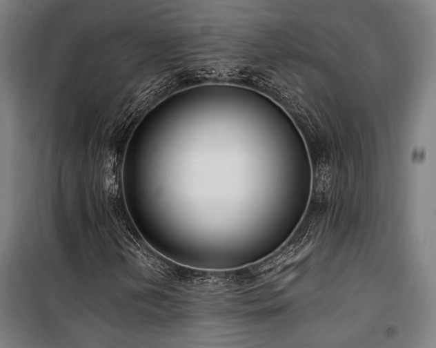 X0000101661202200807101246