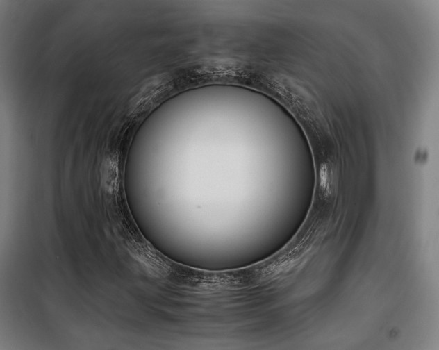 X0000101661203200807101246