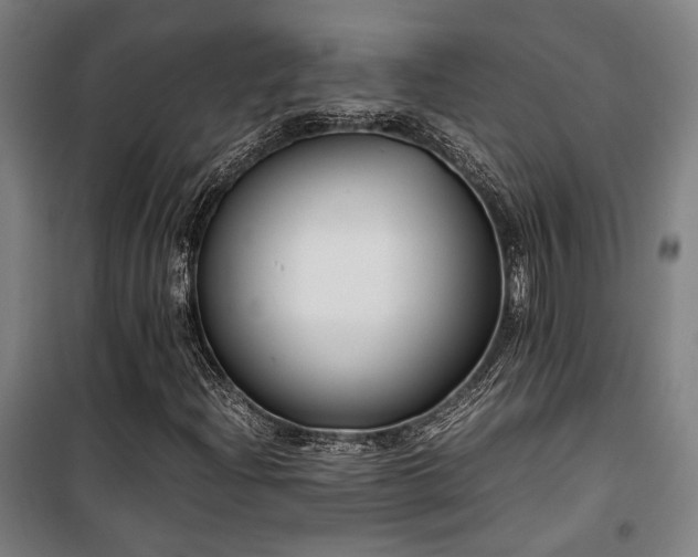 X0000101661204200807101246