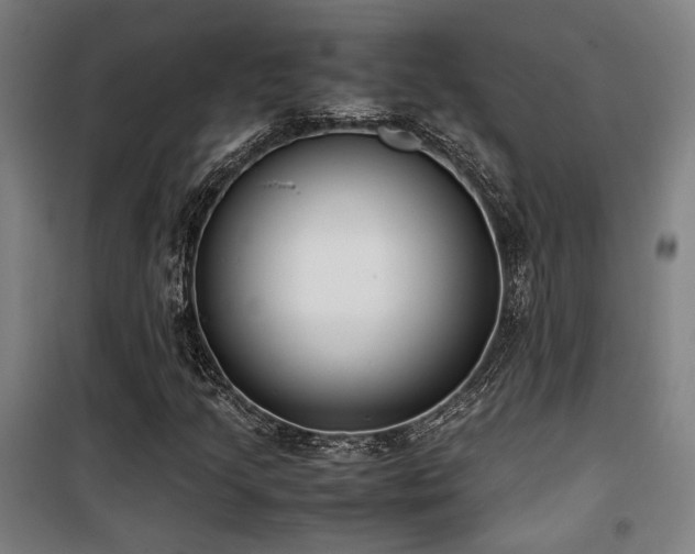 X0000101661205200807101246