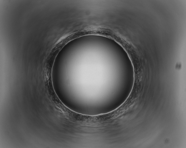 X0000101661206200807101246