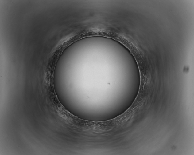 X0000101661207200807101246