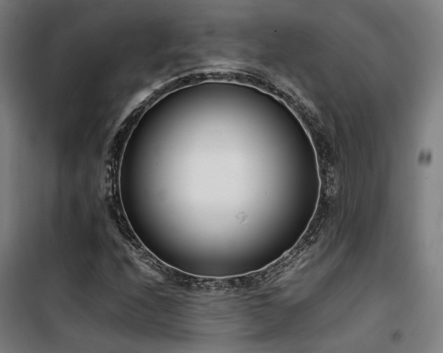 X0000101661208200807101246