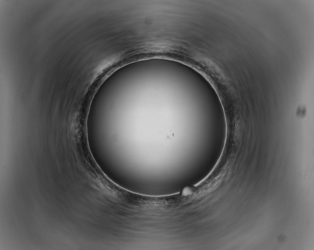 X0000101661210200807101246