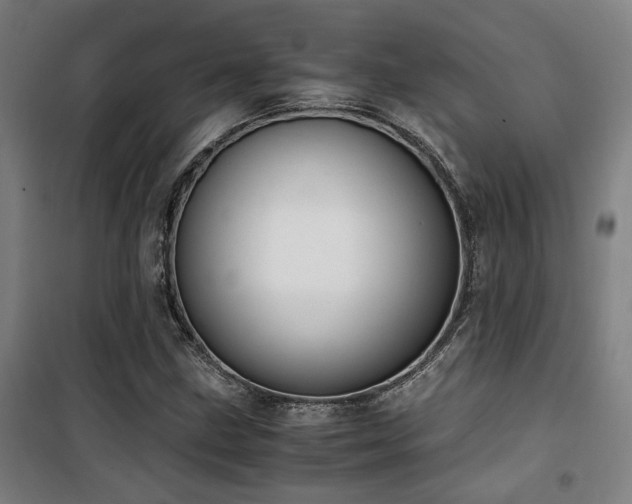 X0000101661211200807101246