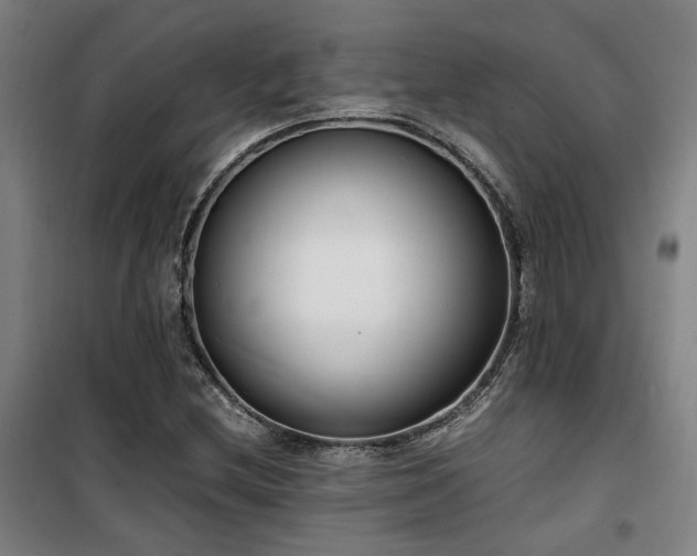 X0000101661212200807101246