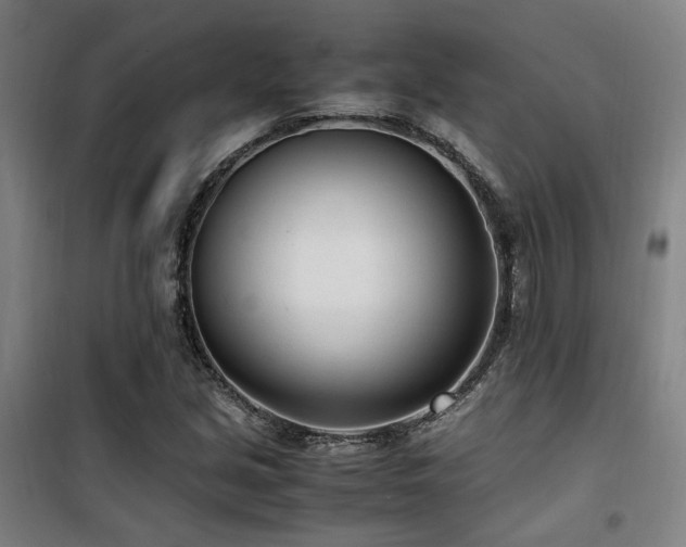 X0000101661213200807101246