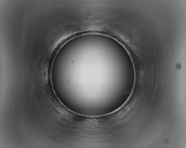 X0000101661214200807101246