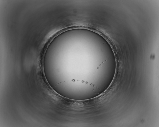 X0000101661215200807101247