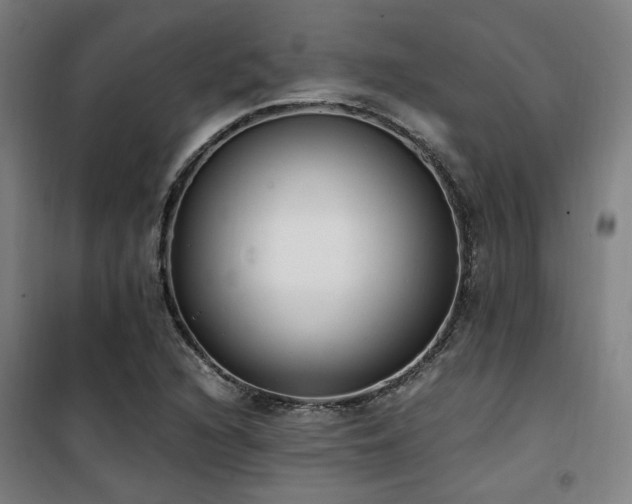 X0000101661216200807101247