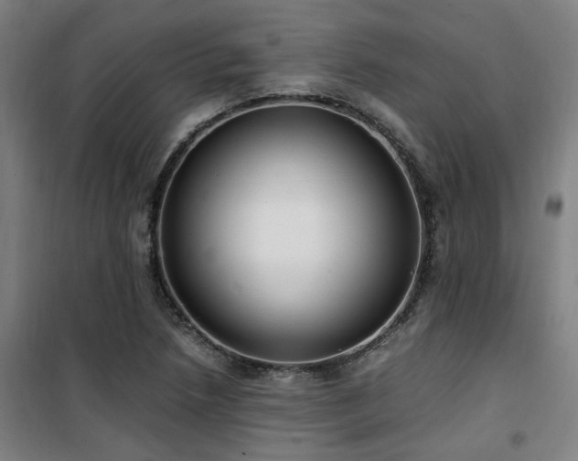 X0000101661218200807101247