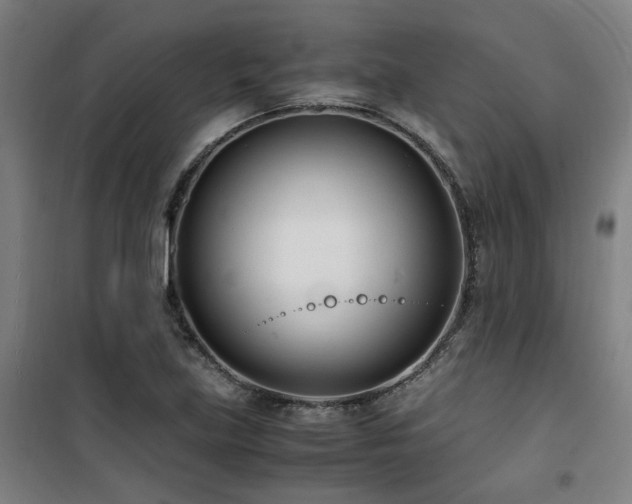 X0000101661219200807101247