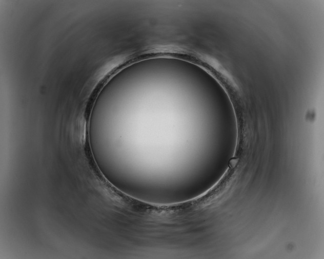 X0000101661221200807101247