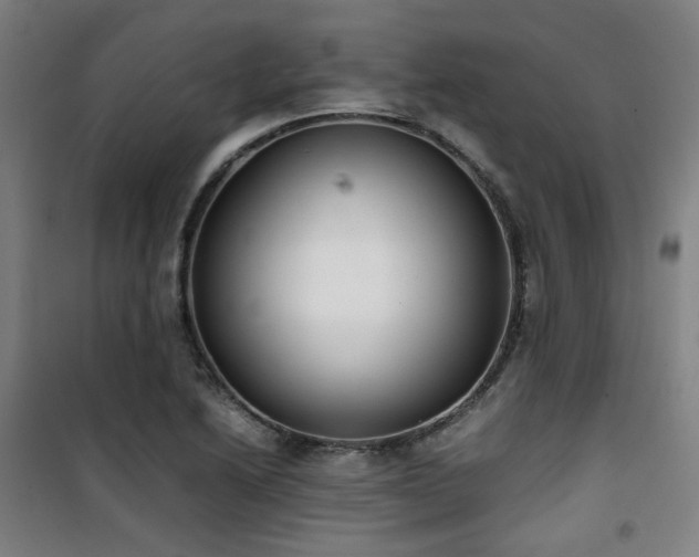 X0000101661222200807101247