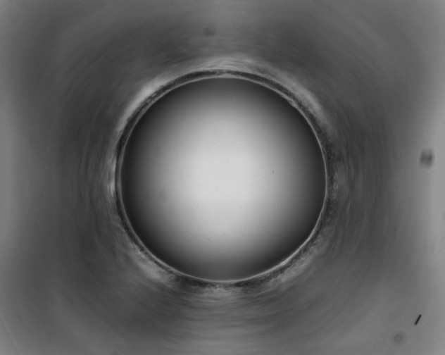 X0000101661224200807101247