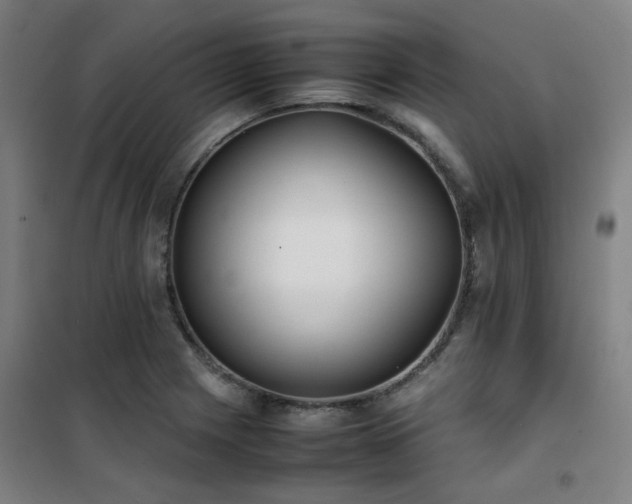 X0000101661225200807101247