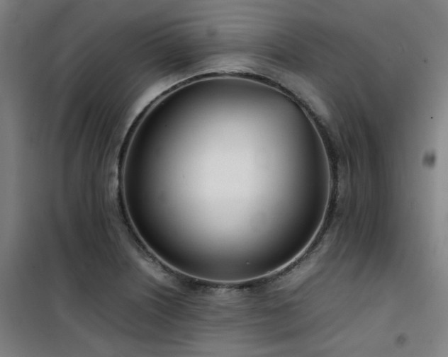 X0000101661226200807101247